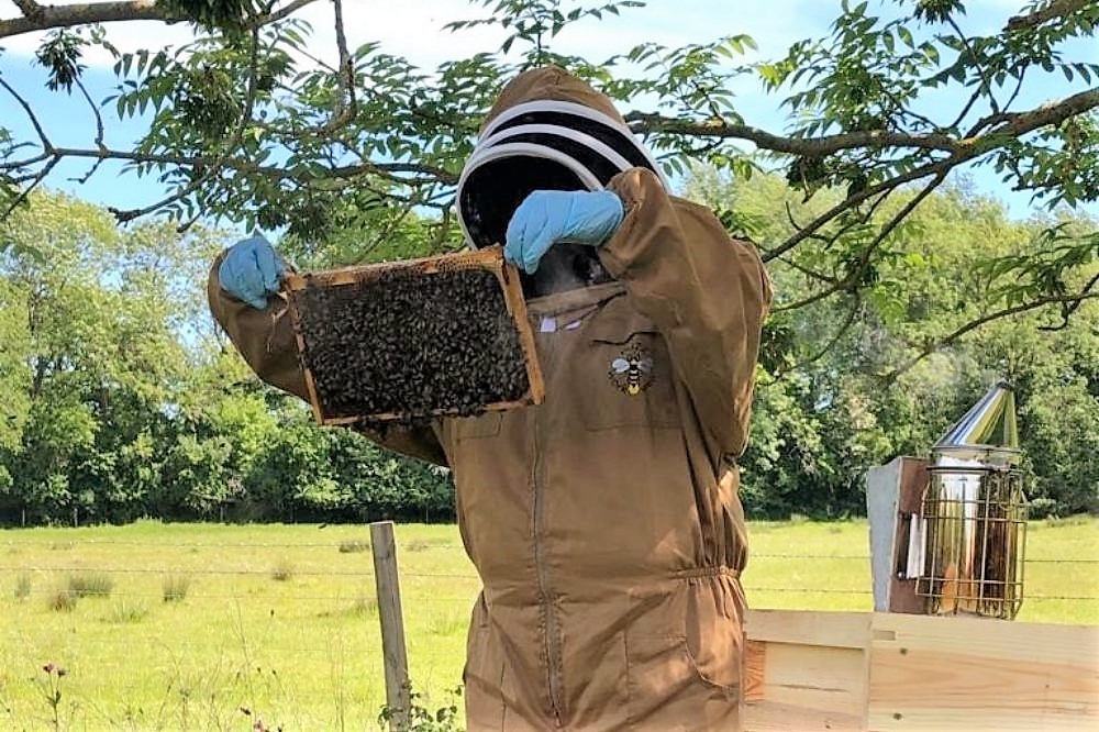 Cllr James Wright with one of his beehives