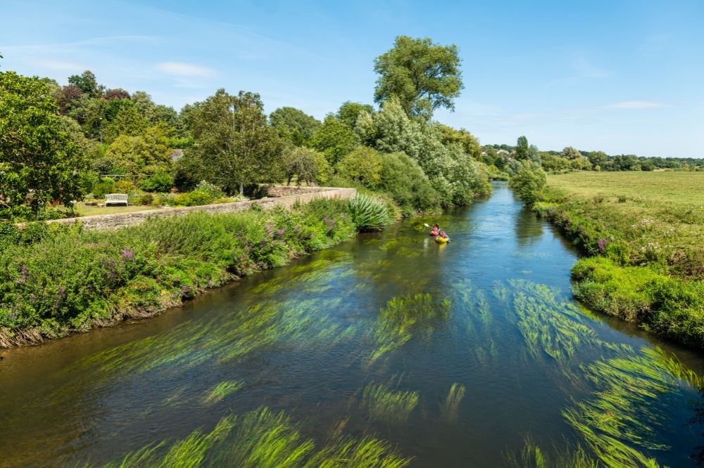 Kayakers on the River Adur on a sunny day. The water is clear and bright green reeds are under the surface