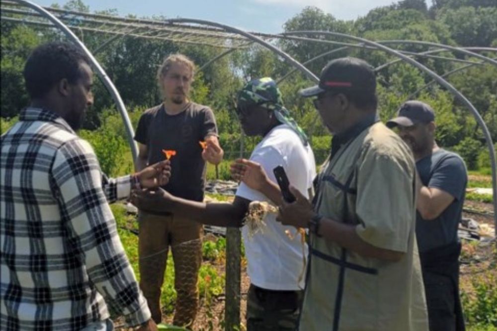 Rock Farm's Manager shares edible flowers with volunteers