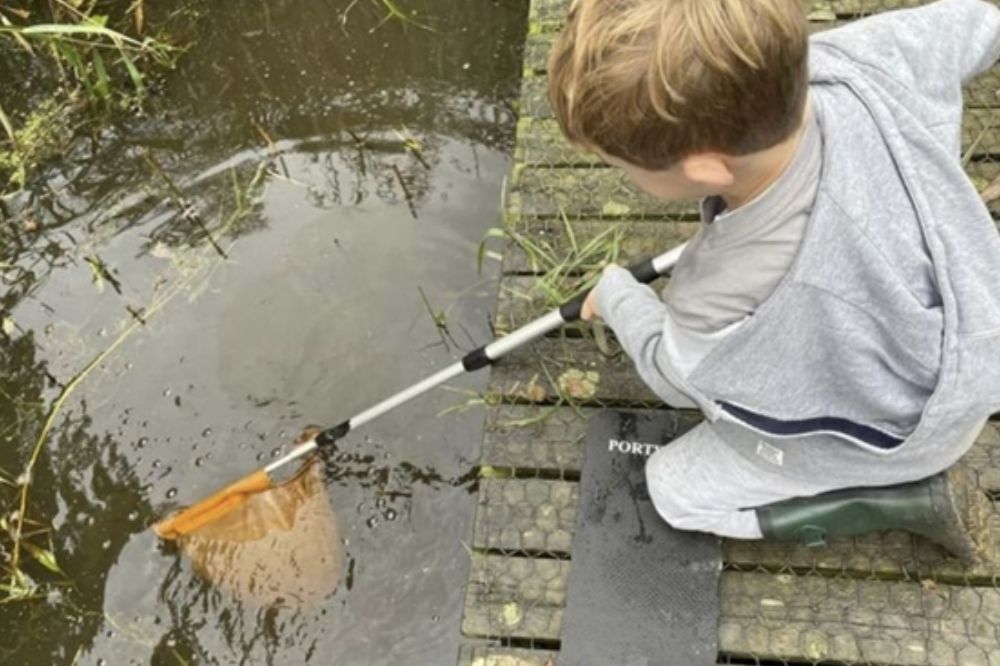 Pond Dipping at Warnham Nature Reserve