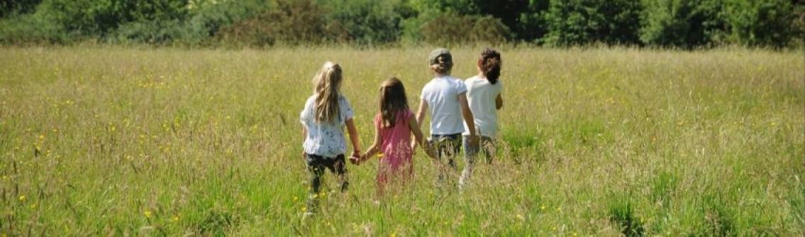 Children walking through the meadow at Chesworth Farm